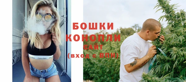 индика Новодвинск