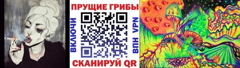 mega онион закладка Реутов Псилоцибиновые грибы MAGIC MUSHROOMS